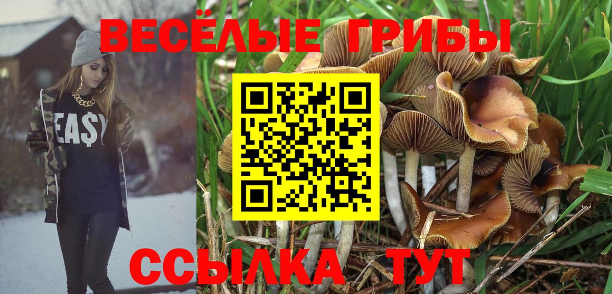 Псилоцибиновые грибы ЛСД Чусовой