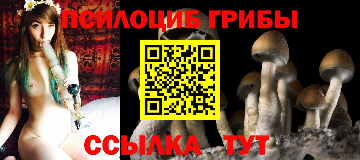 Псилоцибиновые грибы мицелий  Псилоцибиновые грибы мухоморы  Вход с VPN  Чусовой 